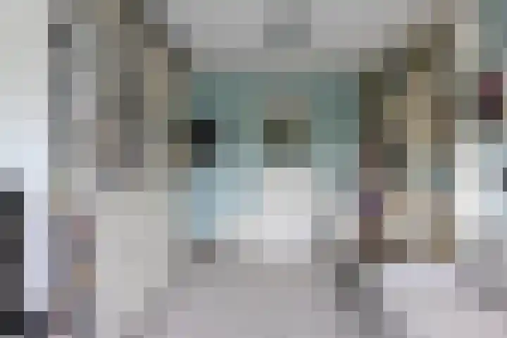 Vlier 33 Poortugaal thumbnail 29