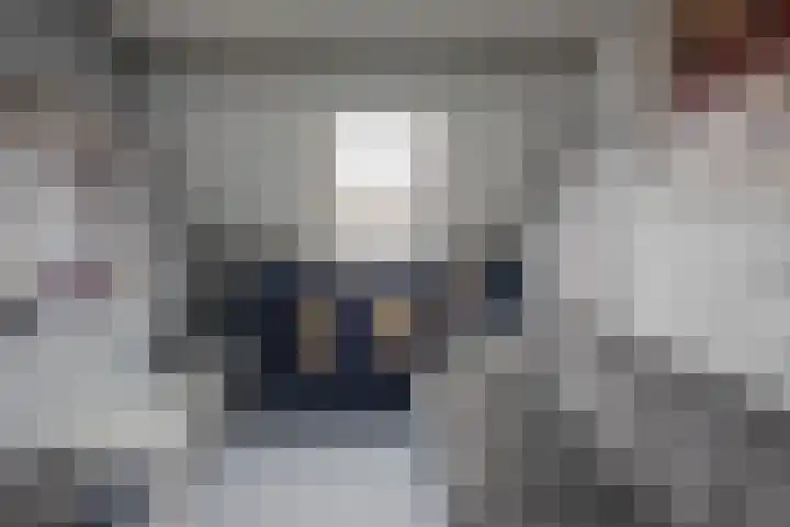 Vlier 33 Poortugaal thumbnail 34