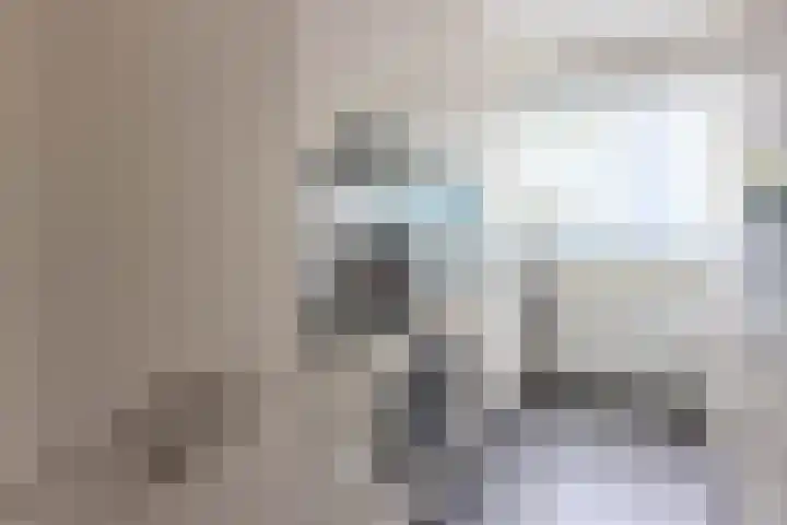 Vlier 33 Poortugaal thumbnail 4