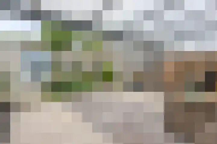Vlier 33 Poortugaal thumbnail 5
