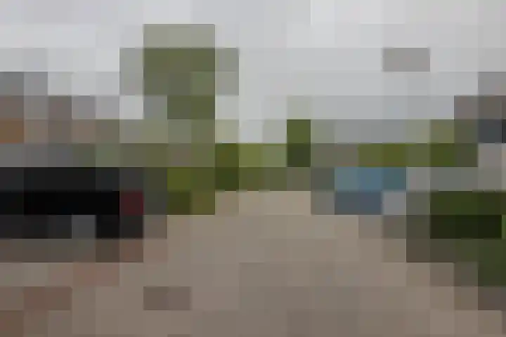 Vlier 33 Poortugaal thumbnail 6