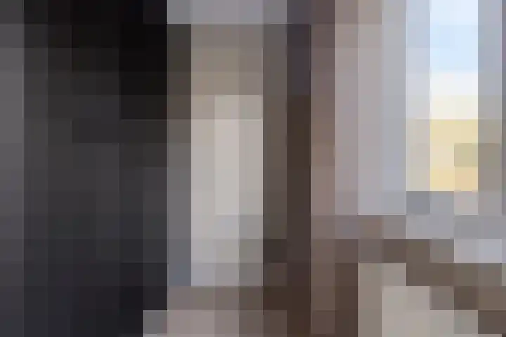Vlier 34 Oldenzaal thumbnail 13