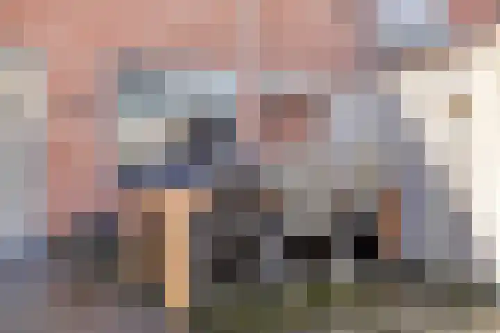 Vlier 34 Oldenzaal thumbnail 18