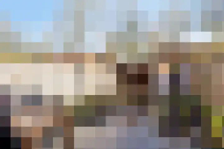 Vlier 34 Oldenzaal thumbnail 19