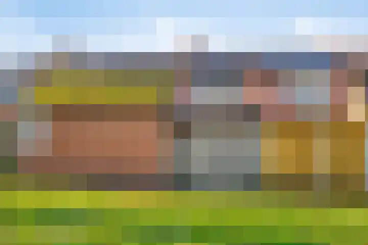 Vlier 34 Oldenzaal thumbnail 21