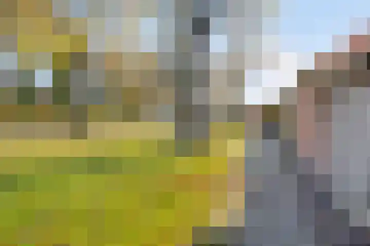 Vlier 34 Oldenzaal thumbnail 22