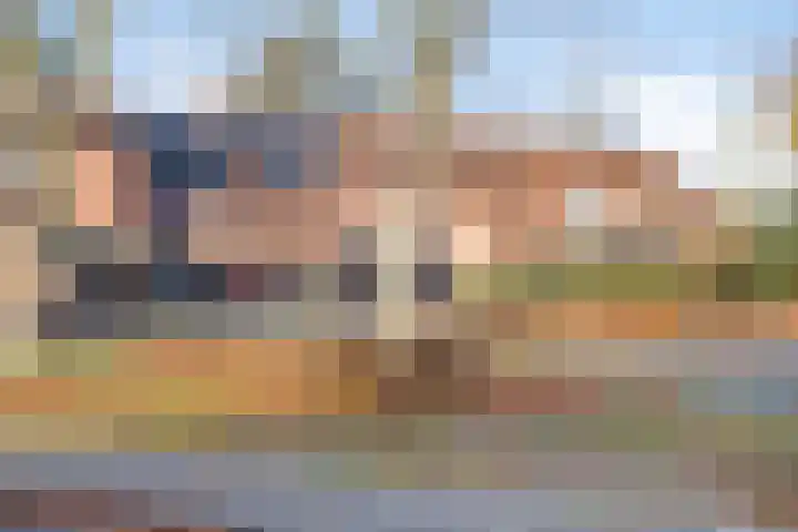 Vlier 34 Oldenzaal thumbnail 25
