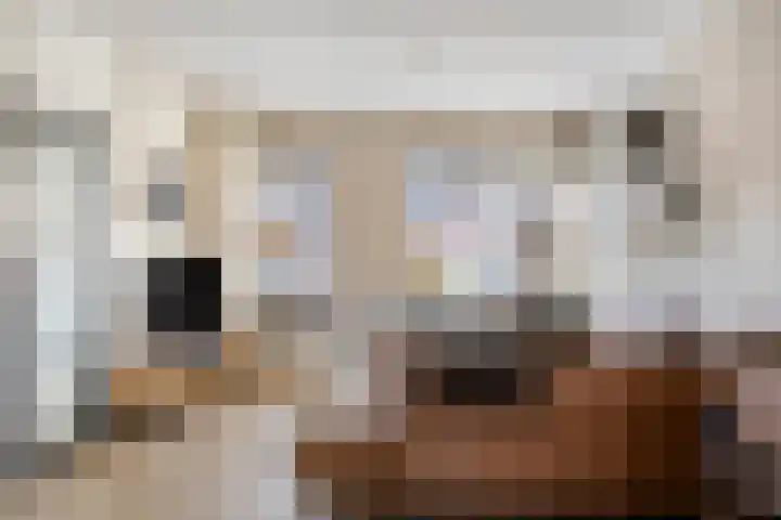 Vlier 34 Oldenzaal thumbnail 4