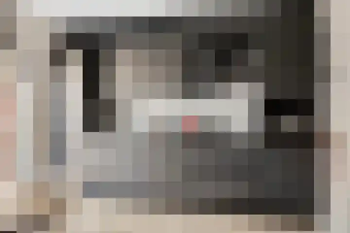 Vlier 34 Oldenzaal thumbnail 7
