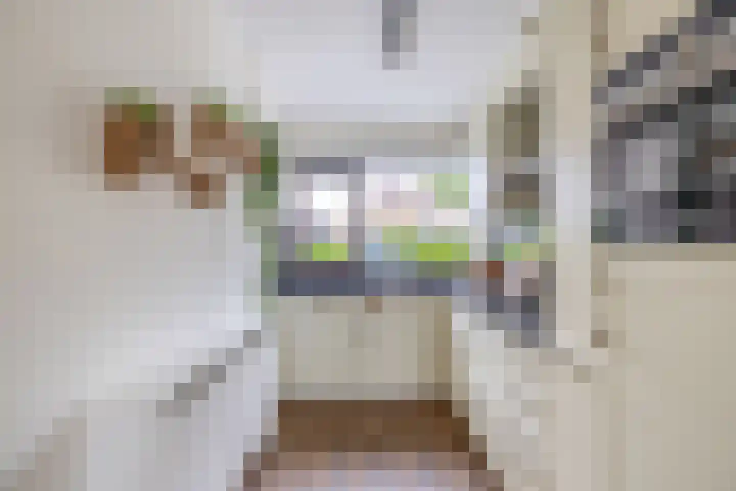Vlier 35 Poortugaal thumbnail 15