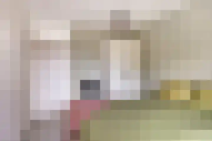 Vlier 40 Oldenzaal thumbnail 12