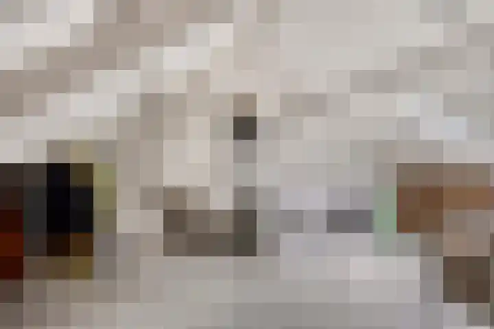 Vlier 40 Oldenzaal thumbnail 17