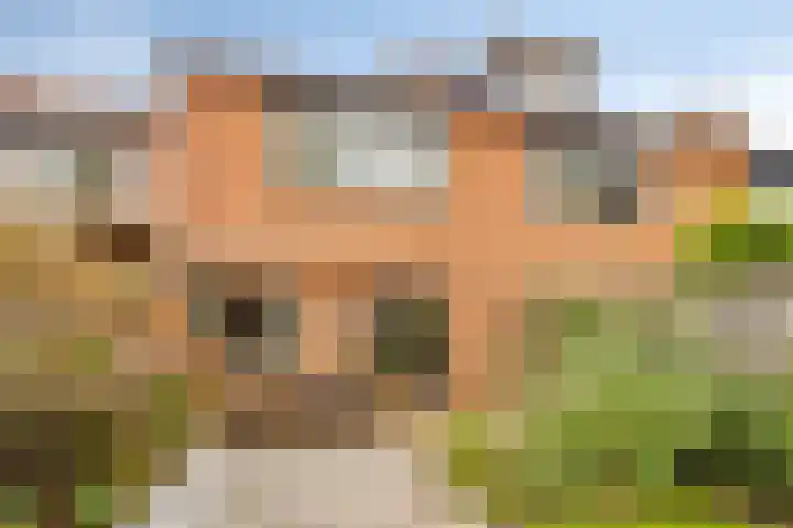 Vlier 40 Oldenzaal thumbnail 18