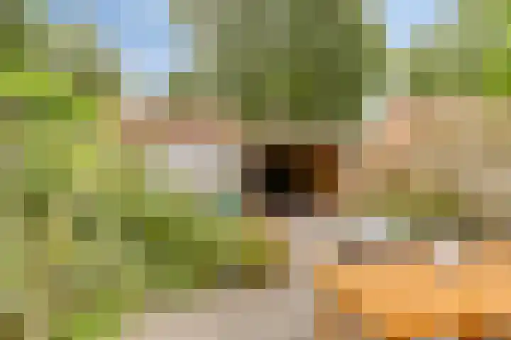 Vlier 40 Oldenzaal thumbnail 19