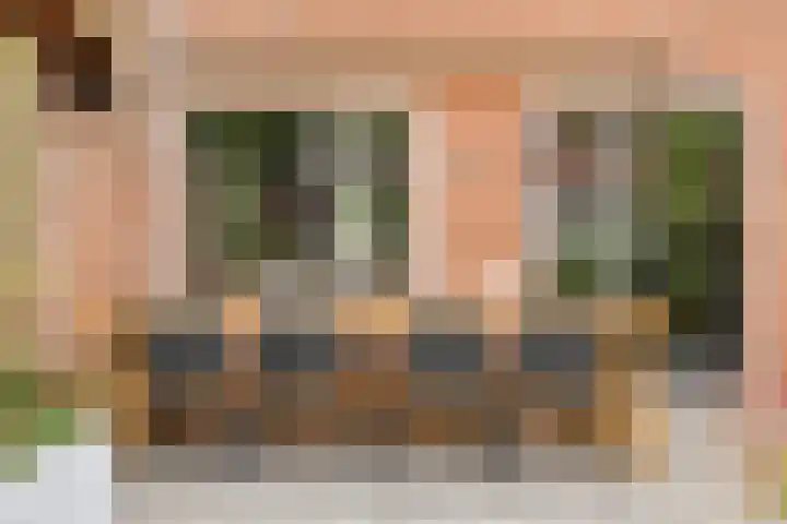 Vlier 40 Oldenzaal thumbnail 20