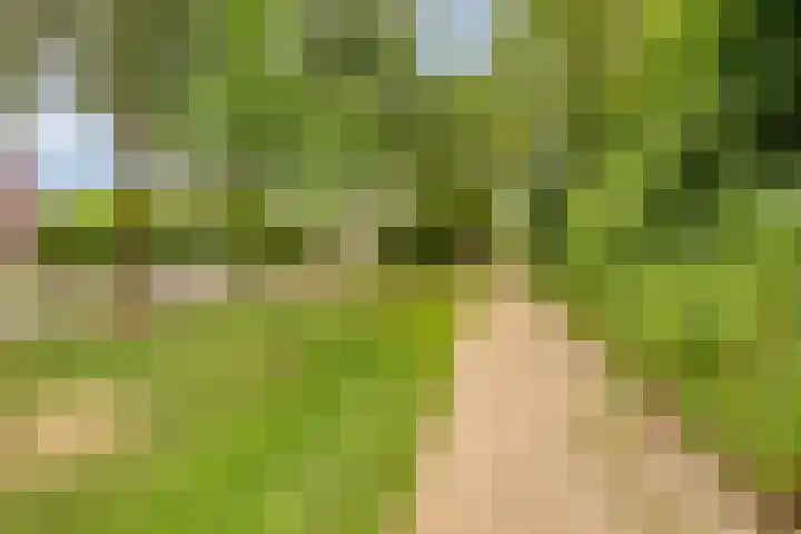 Vlier 40 Oldenzaal thumbnail 22