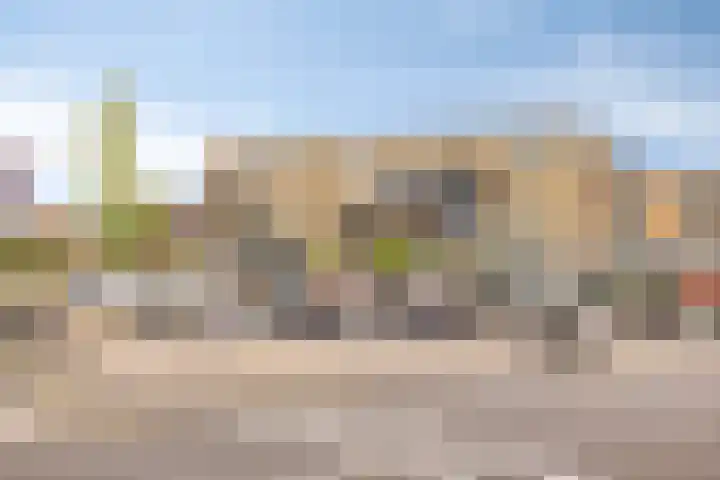 Vlier 40 Oldenzaal thumbnail 24