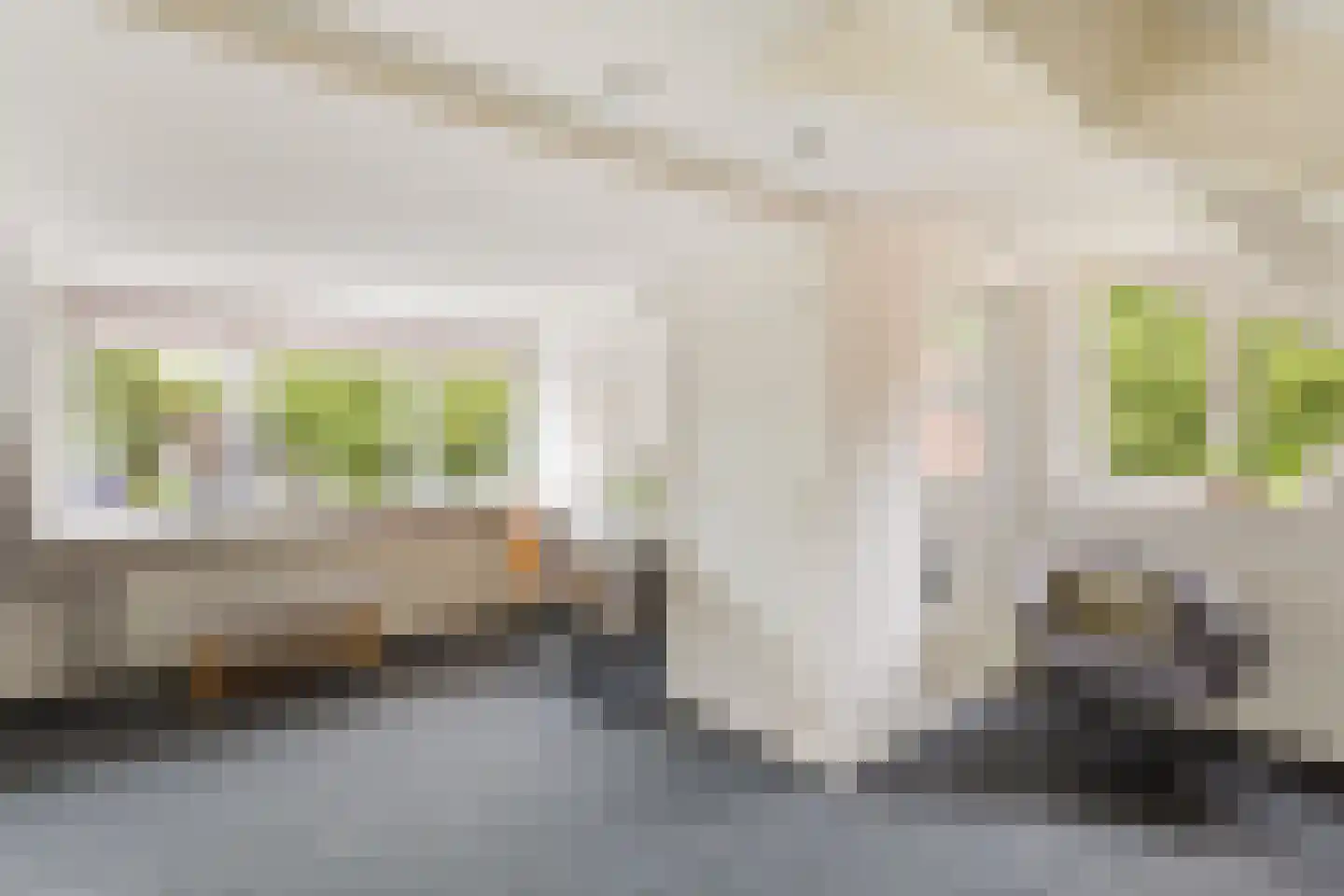 Vlier 48 Oldenzaal thumbnail 15