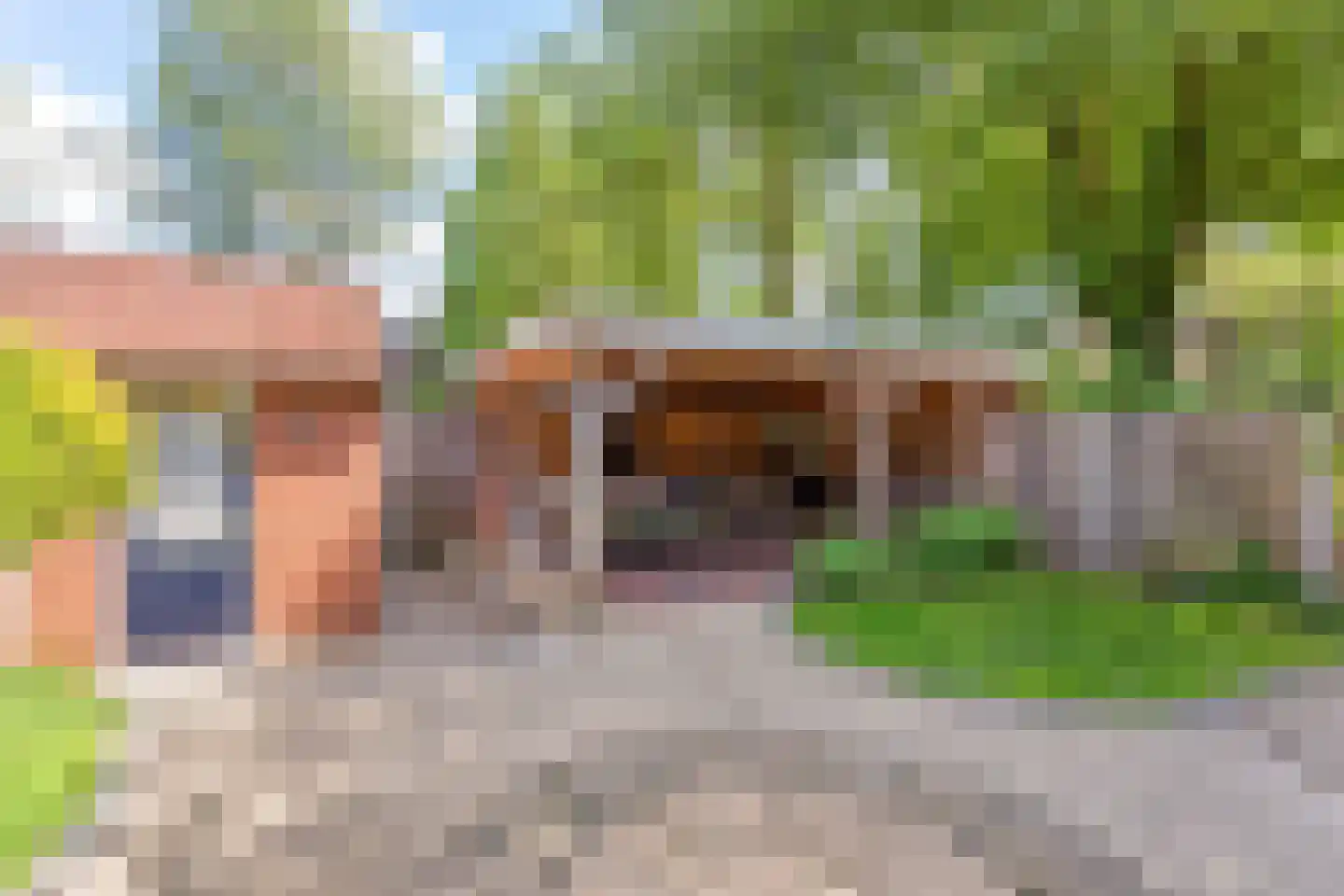 Vlier 48 Oldenzaal thumbnail 18