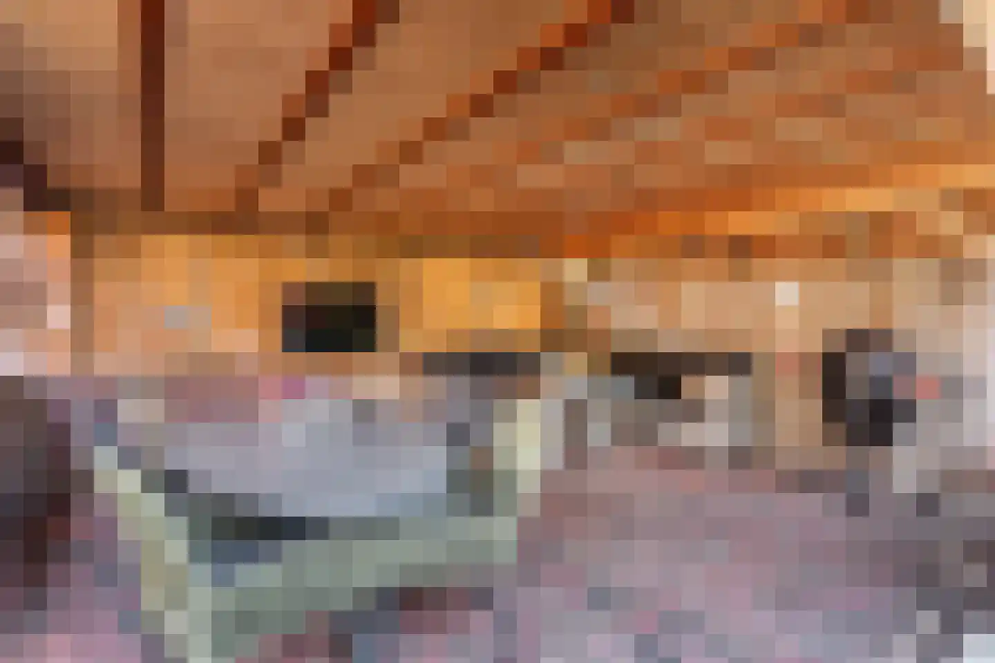 Vlier 48 Oldenzaal thumbnail 19