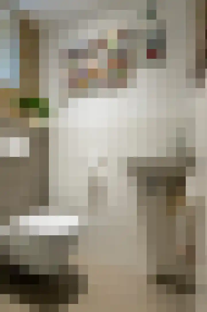 Vlierakkerweg 3 Berkel-Enschot thumbnail 8
