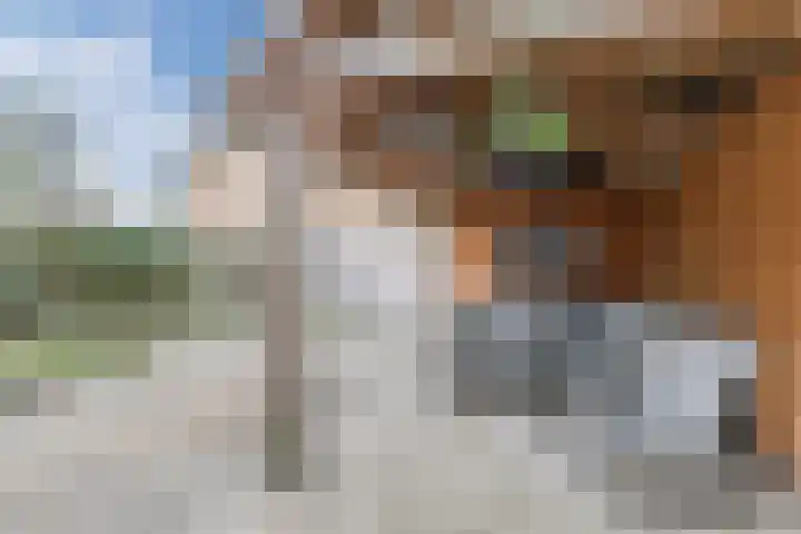 Vlierakkerweg 7 Berkel-Enschot thumbnail 32