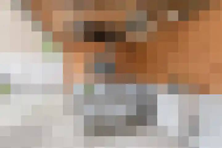 Vlierakkerweg 7 Berkel-Enschot thumbnail 33