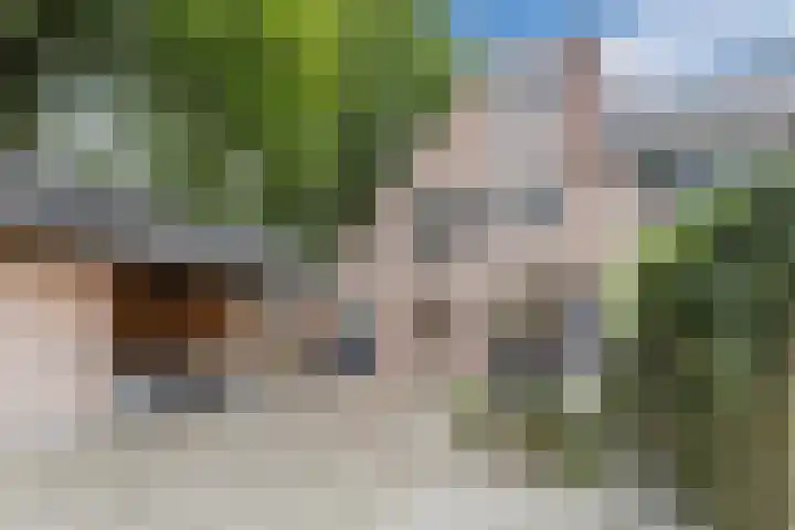 Vlierakkerweg 7 Berkel-Enschot thumbnail 36