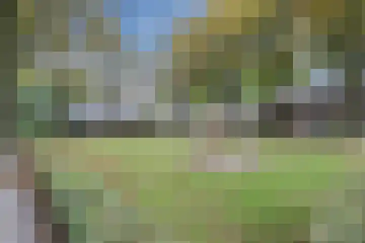 Vlierakkerweg 7 Berkel-Enschot thumbnail 39