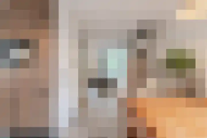 Vlierakkerweg 7 Berkel-Enschot thumbnail 8