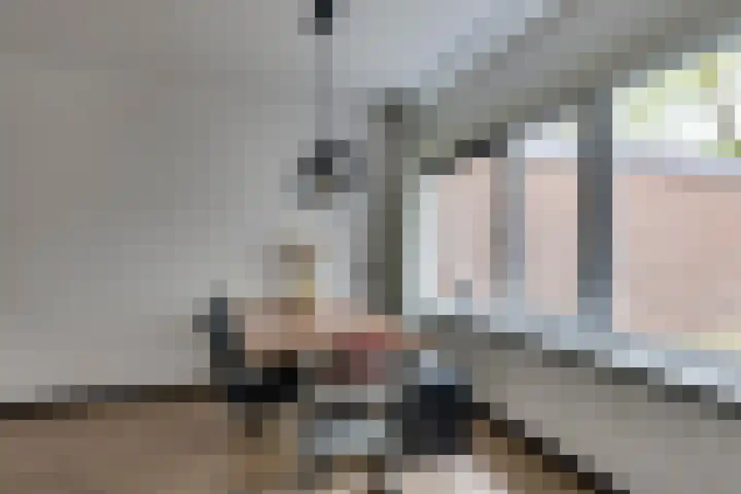 Vlierbeek 2 Veldhoven thumbnail 10