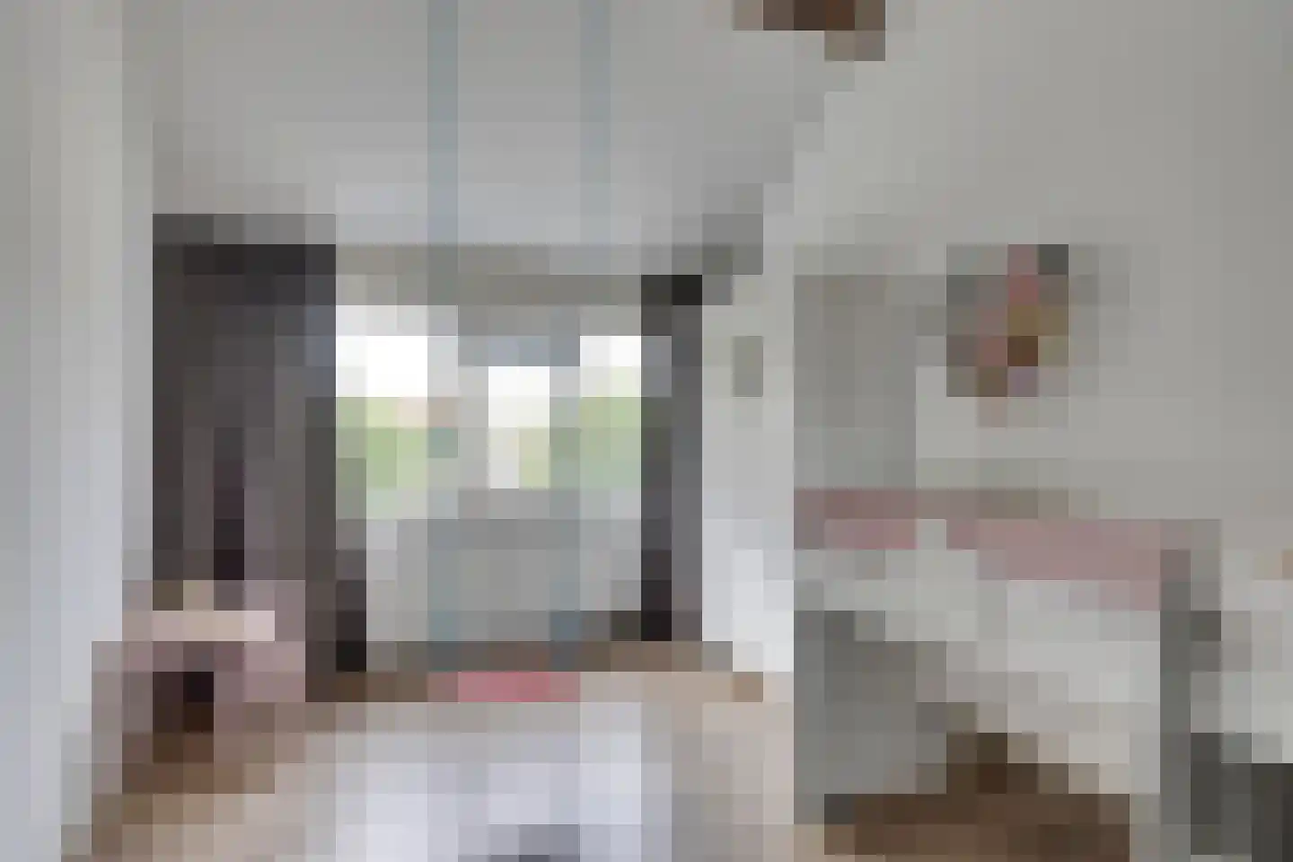 Vlierbeek 2 Veldhoven thumbnail 16
