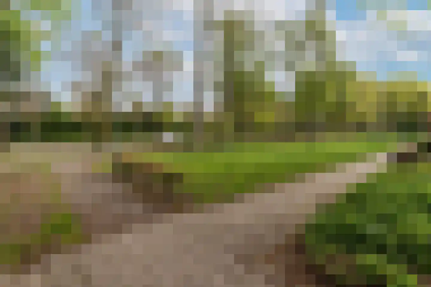 Vlierbeek 2 Veldhoven thumbnail 39