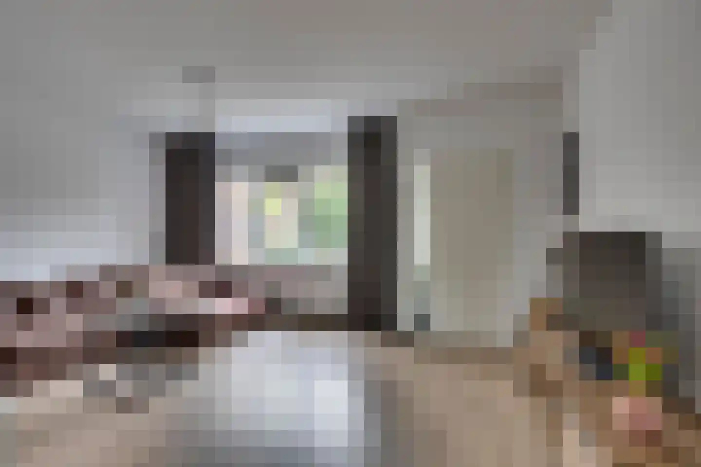 Vlierbeek 2 Veldhoven thumbnail 6