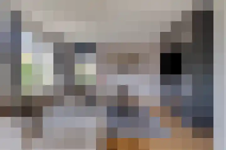 Vlierbes 17 Halsteren thumbnail 10