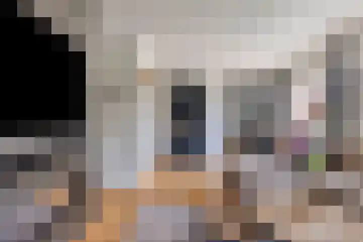 Vlierbes 17 Halsteren thumbnail 11