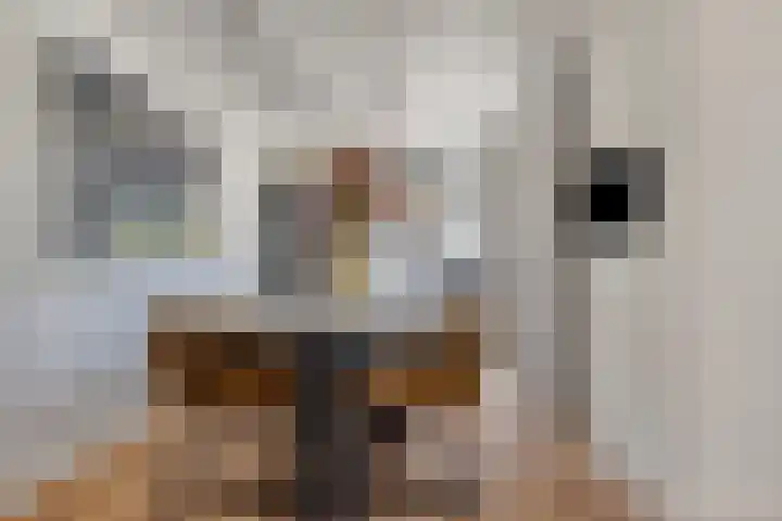 Vlierbes 17 Halsteren thumbnail 14