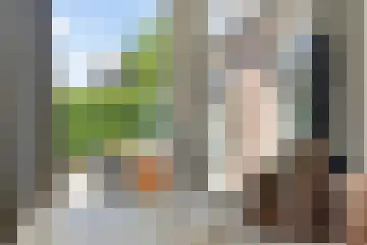 Vlierbes 17 Halsteren thumbnail 17