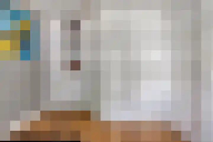 Vlierbes 17 Halsteren thumbnail 19
