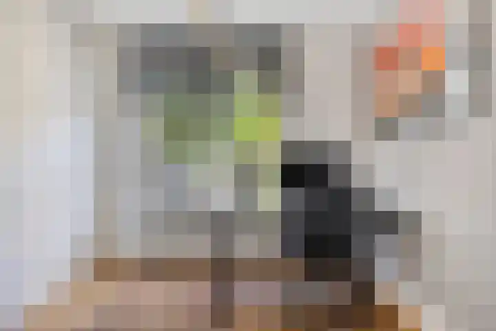 Vlierbes 17 Halsteren thumbnail 20