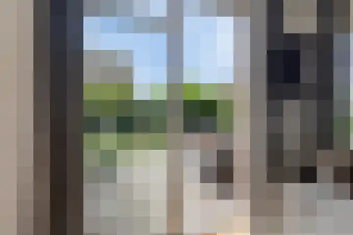 Vlierbes 17 Halsteren thumbnail 21