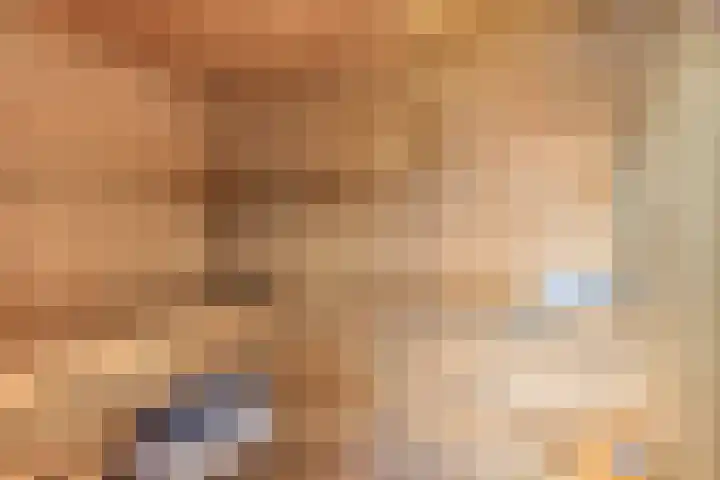 Vlierbes 17 Halsteren thumbnail 27