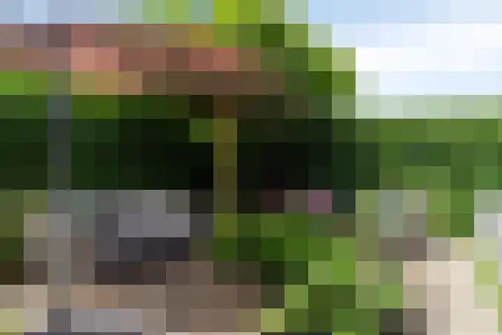 Vlierbes 17 Halsteren thumbnail 28