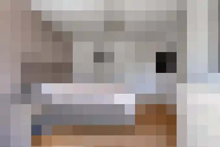 Vlierbes 17 Halsteren thumbnail 31