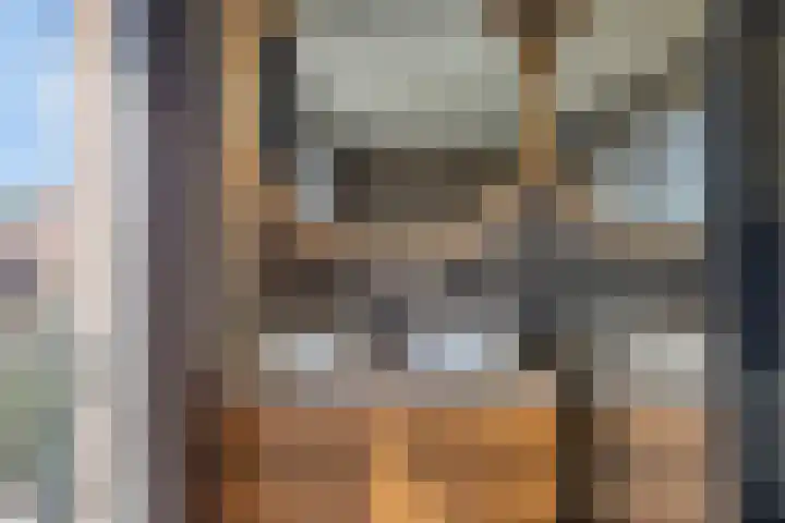 Vlierbes 17 Halsteren thumbnail 33