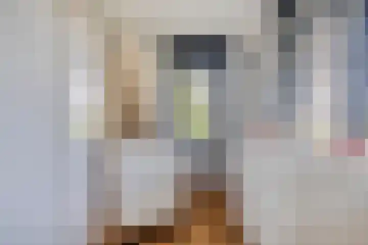 Vlierbes 17 Halsteren thumbnail 37