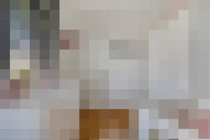 Vlierbes 17 Halsteren thumbnail 38