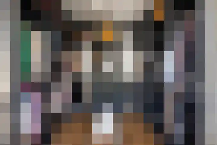 Vlierbes 17 Halsteren thumbnail 39