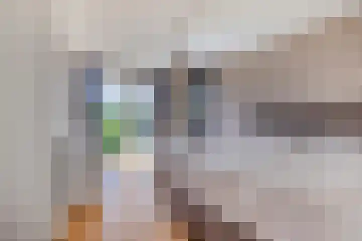 Vlierbes 17 Halsteren thumbnail 4