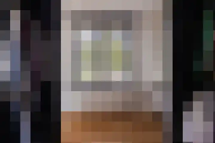 Vlierbes 17 Halsteren thumbnail 40